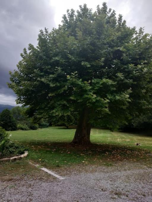 Logement Entier Dans Un Ecrin De Verdure Bidos Exterior foto