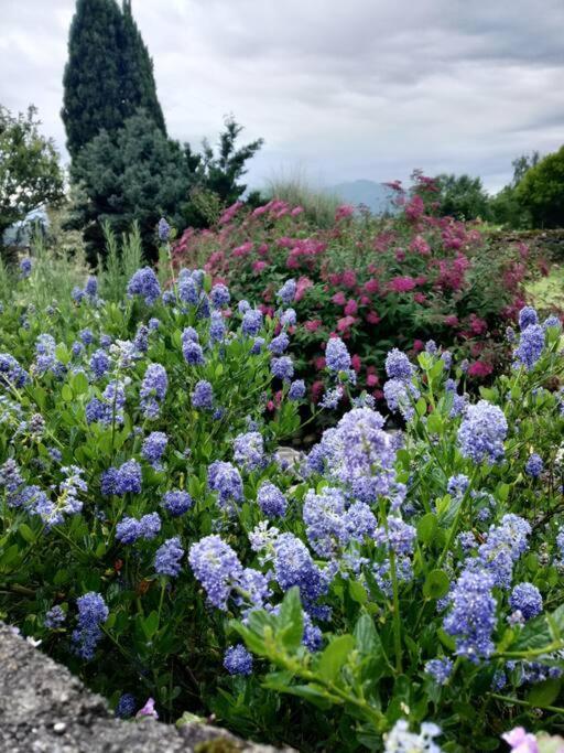 Logement Entier Dans Un Ecrin De Verdure Bidos Exterior foto